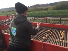 Aardappelen rooien - 16 oktober 2018 (6)
