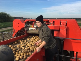 Aardappelen rooien - 16 oktober 2018 (7)