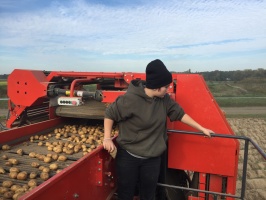 Aardappelen rooien - 16 oktober 2018 (9)