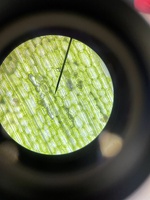 Microscopie 3NW 3BTW 02