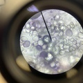 Microscopie 3NW 3BTW 04.jpg