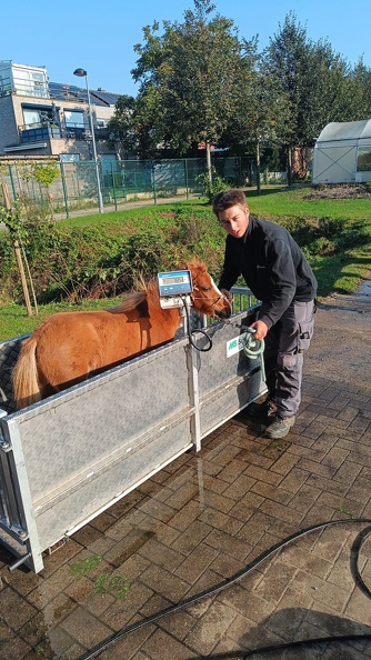 Bascule dierenzorg 01.jpg