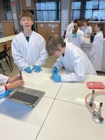 Dissectie varkensoog 05