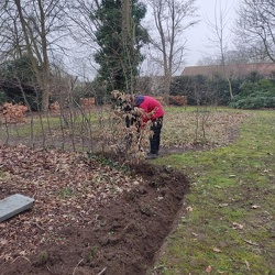 3PDMBb Tuinonderhoud bij Tuin Torfs - 13 februari 2025