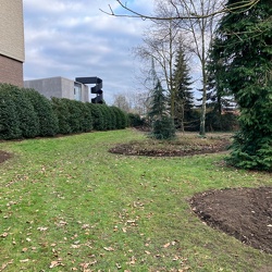 Werken in de parktuin - 16 februari 2025