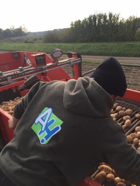 Aardappelen rooien - 16 oktober 2018 (5).jpg