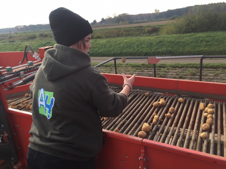 Aardappelen rooien - 16 oktober 2018 (6).jpg