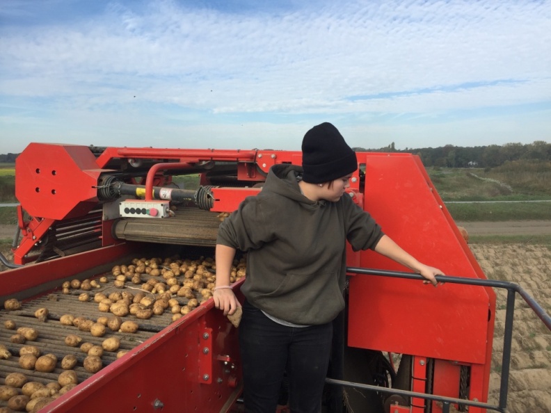 Aardappelen rooien - 16 oktober 2018 (9).jpg