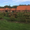 Plantenboerderij te Merksplas - oktober 2019 - 27.jpg