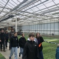 Tuinbouwbedrijf Van Roosbroeck 20.jpg