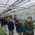Tuinbouwbedrijf Van Roosbroeck 22.jpg