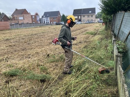 Inzaaien van vanggewassen 02