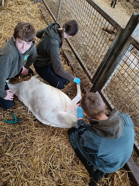 4PDMT helpt op de Donkenhoeve 10.jpg