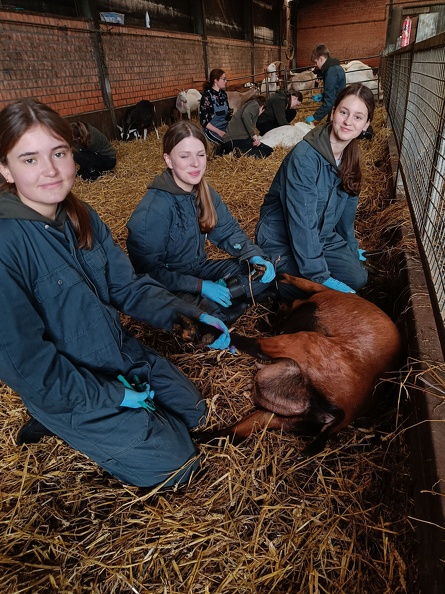 4PDMT helpt op de Donkenhoeve 12.jpg