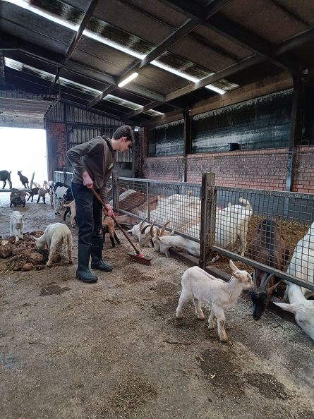 4PDMT helpt op de Donkenhoeve 07.jpg