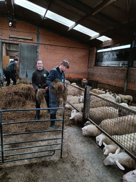 4PDMT helpt op de Donkenhoeve 09.jpg