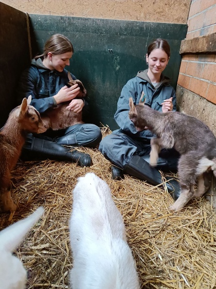 4PDMT helpt op de Donkenhoeve 03.jpg