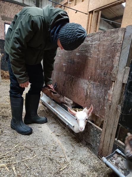 4PDMT helpt op de Donkenhoeve 05.jpg