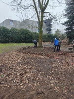 3PDMBb Tuinonderhoud bij Tuin Torfs 06