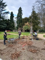 Aanplantingen GO! Basisschool Ter Berken 11