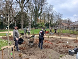 Aanplantingen GO! Basisschool Ter Berken 12