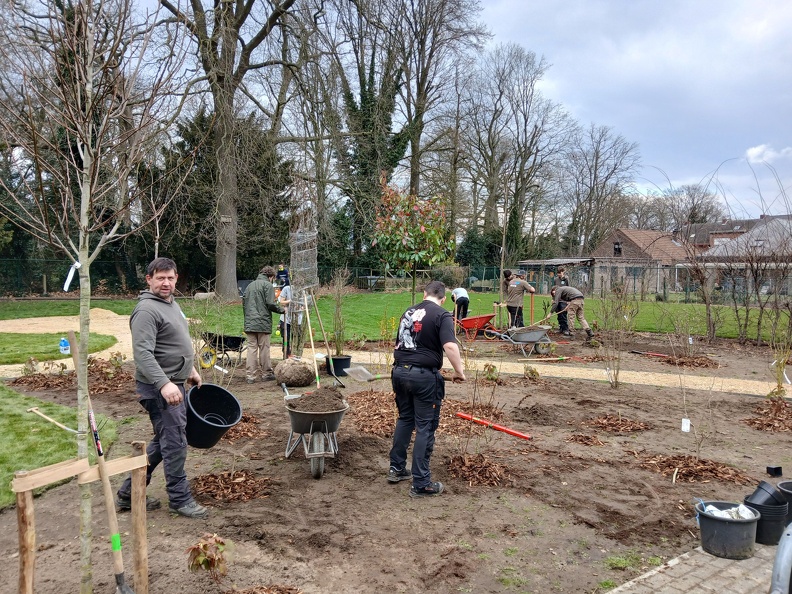 Aanplantingen GO! Basisschool Ter Berken 12.jpg