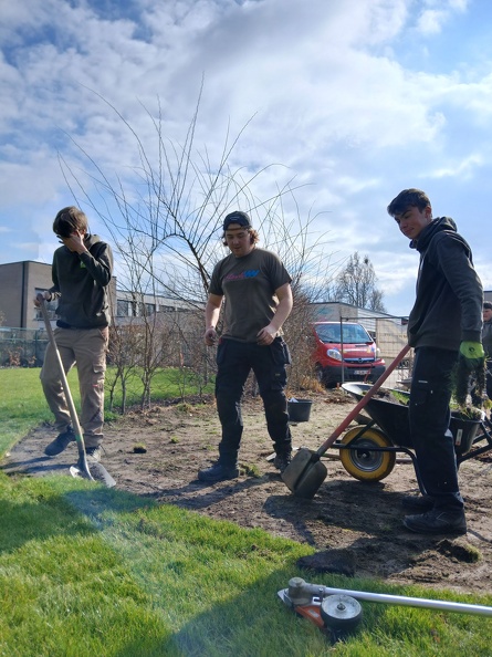 Aanplantingen GO! Basisschool Ter Berken 07.jpg