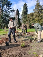 Aanplantingen GO! Basisschool Ter Berken 06