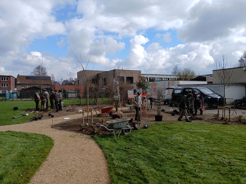 Aanplantingen GO! Basisschool Ter Berken 09.jpg