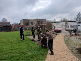 Aanplantingen GO! Basisschool Ter Berken 03