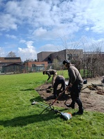 Aanplantingen GO! Basisschool Ter Berken 04