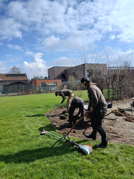 Aanplantingen GO! Basisschool Ter Berken 04.jpg