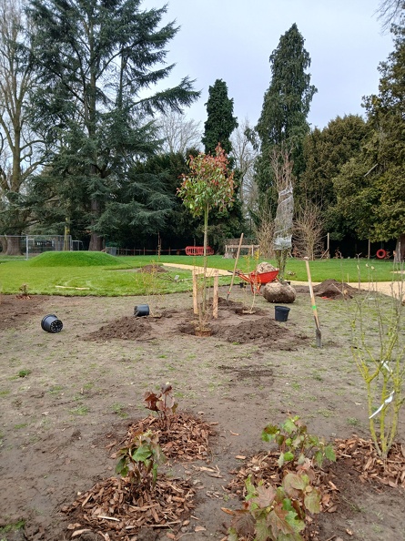 Aanplantingen GO! Basisschool Ter Berken 01.jpg