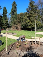 Werken GO! Basisschool Ter Berken 03