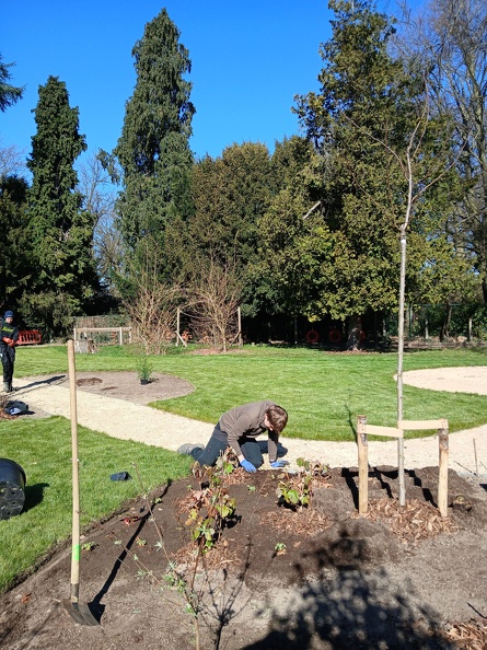 Werken GO! Basisschool Ter Berken 03.jpg