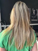 Workshop Hairlux 08